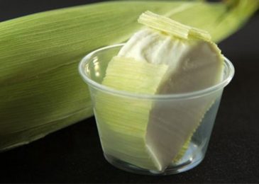 Những món ăn ngon “nức tiếng” ở San Diego