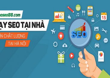 Bắt đầu học SEO như thế nào để mang lại hiệu quả tốt nhất